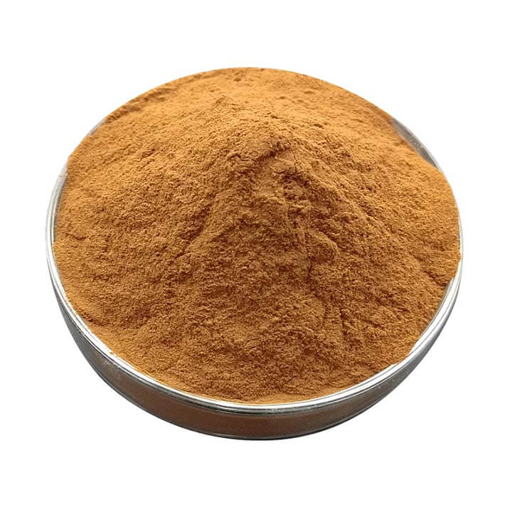 Củ Cây đương quy được nghiền thành bột Cao đương quy 4