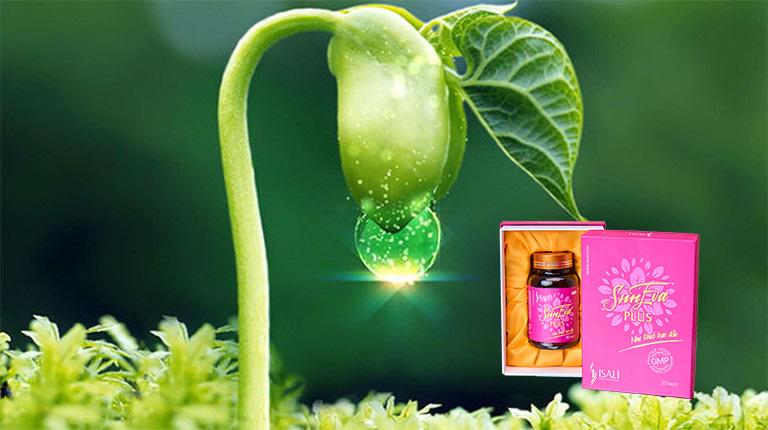 Chiết xuất Mầm Đậu Nành trong Viên Uống Co Khít Âm Đạo Sun Eva Plus Chiết xuất Mầm Đậu Nành trong Viên Uống Co Khít Âm Đạo Sun Eva Plus
