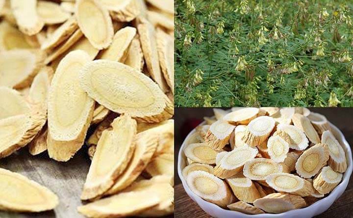 Cao Hoàng Kỳ - Sức Mạnh Cao Dược Liệu Từ Thiên Nhiên 4