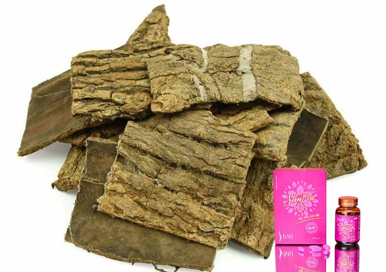Cao Nam Đỗ Trọng 2