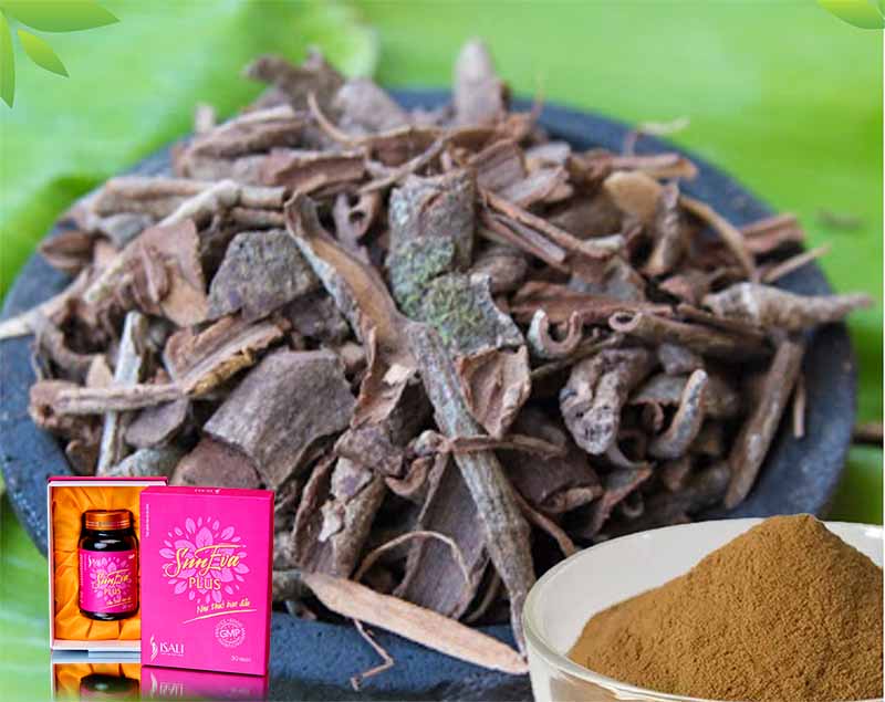 Cao Nam Đỗ Trọng 4