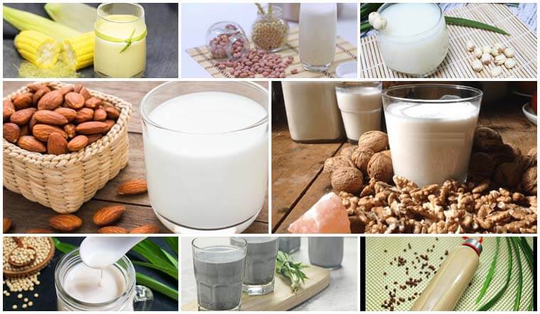 Lợi Ích Dinh Dưỡng của Sữa Hạt thuần chay với sức khỏe
